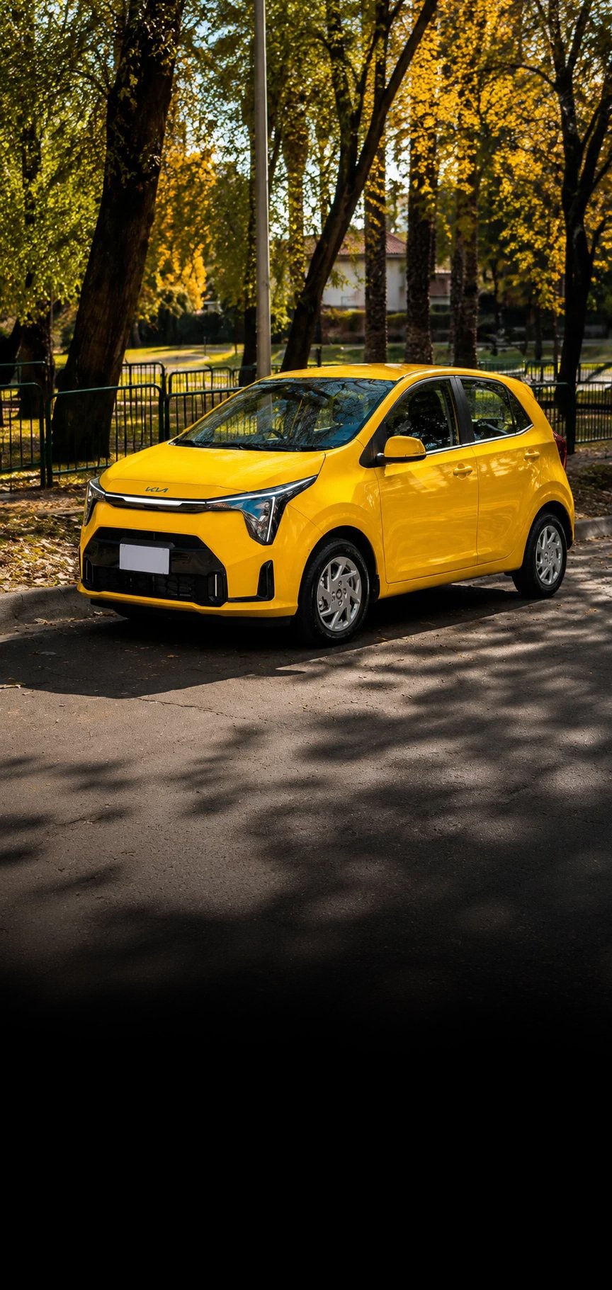 Kia Taxi Picanto